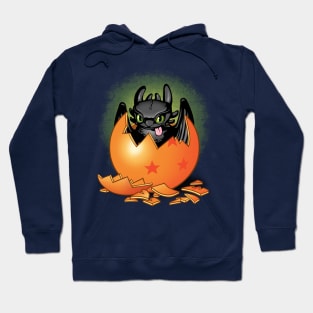 Dragon in the ball Hoodie